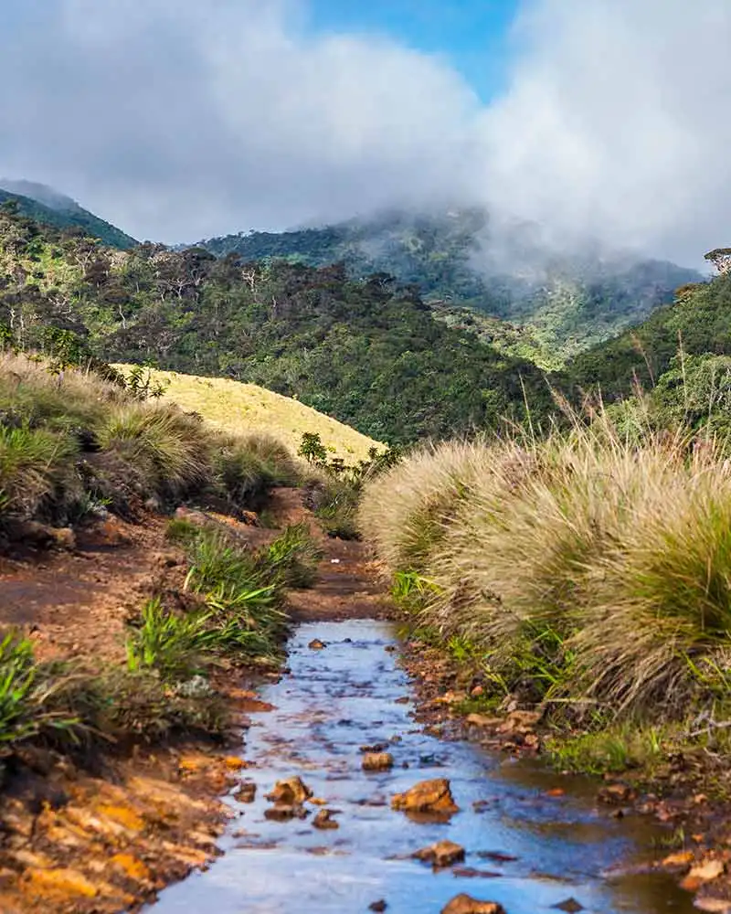 Horton Plains National Park